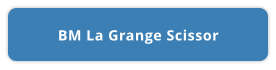 BM La Grange Scissor