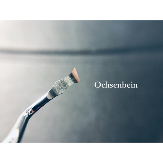 Ochsenbein