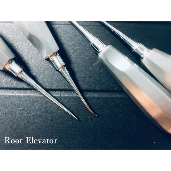 Selding Root Elevator