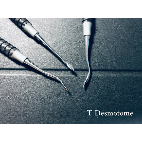 T Desmotome